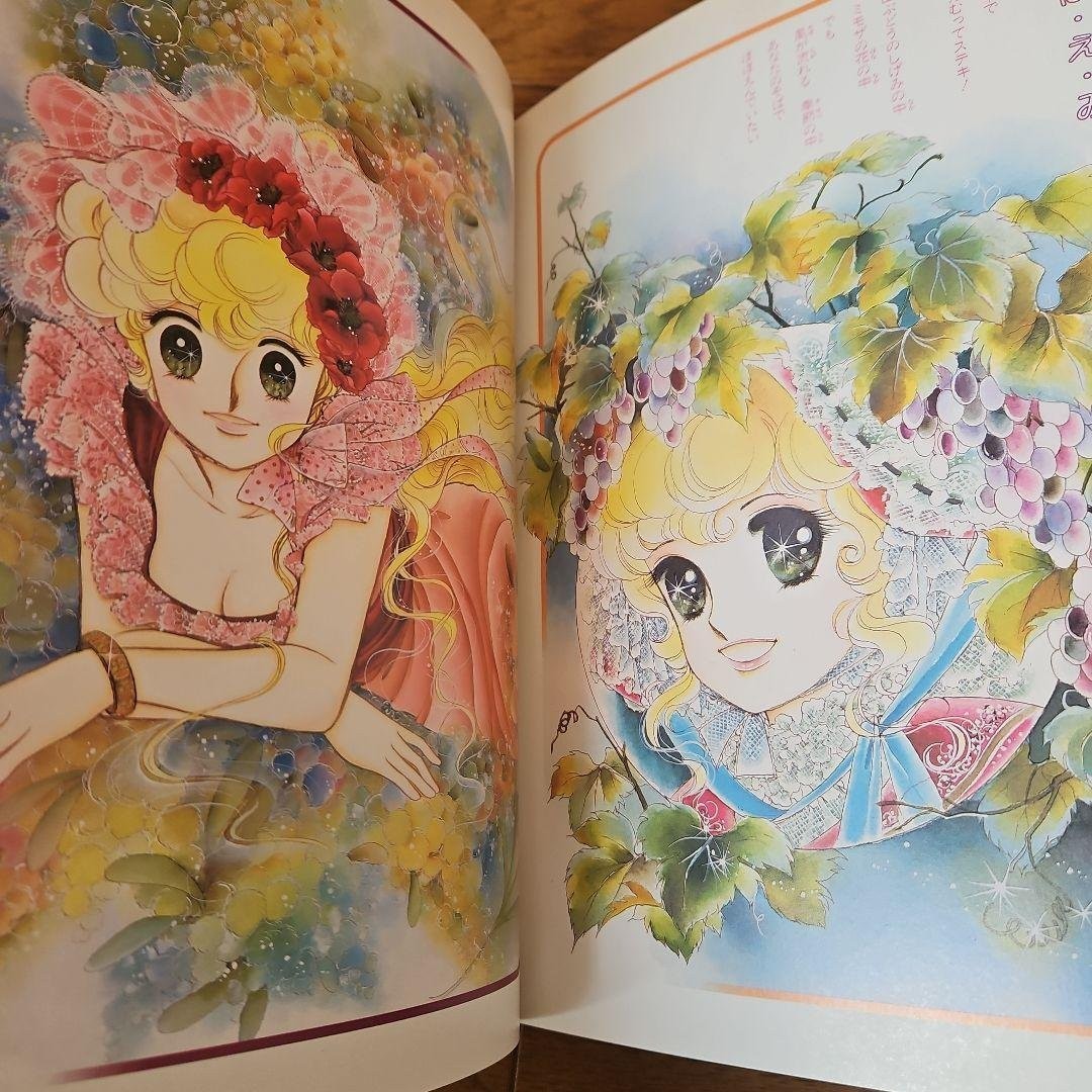 Shogakukan Yumiko Igarashi Georgie Illustration Album Art Book Manga Vintage Art