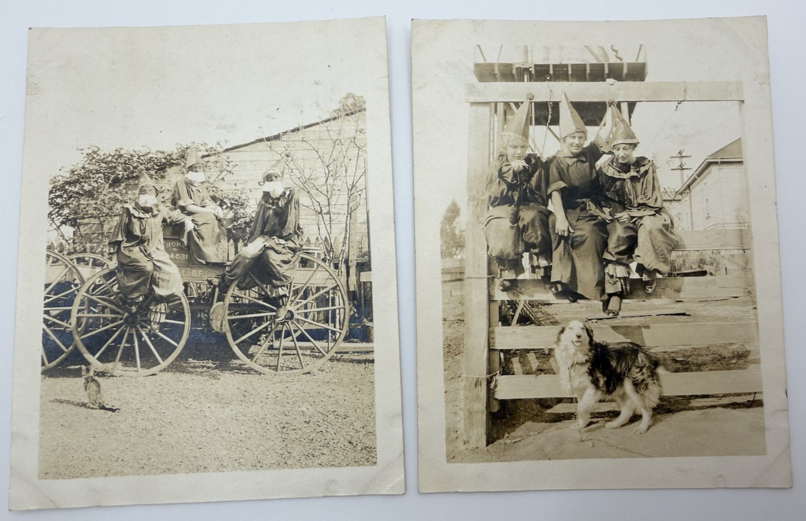 AMAZING c1915-20 Halloween Costume Creepy Clown Dog Cat Antique Photo AMAZING c1915-20 Halloween Costume Creepy Clown Dog Cat Antique Photo