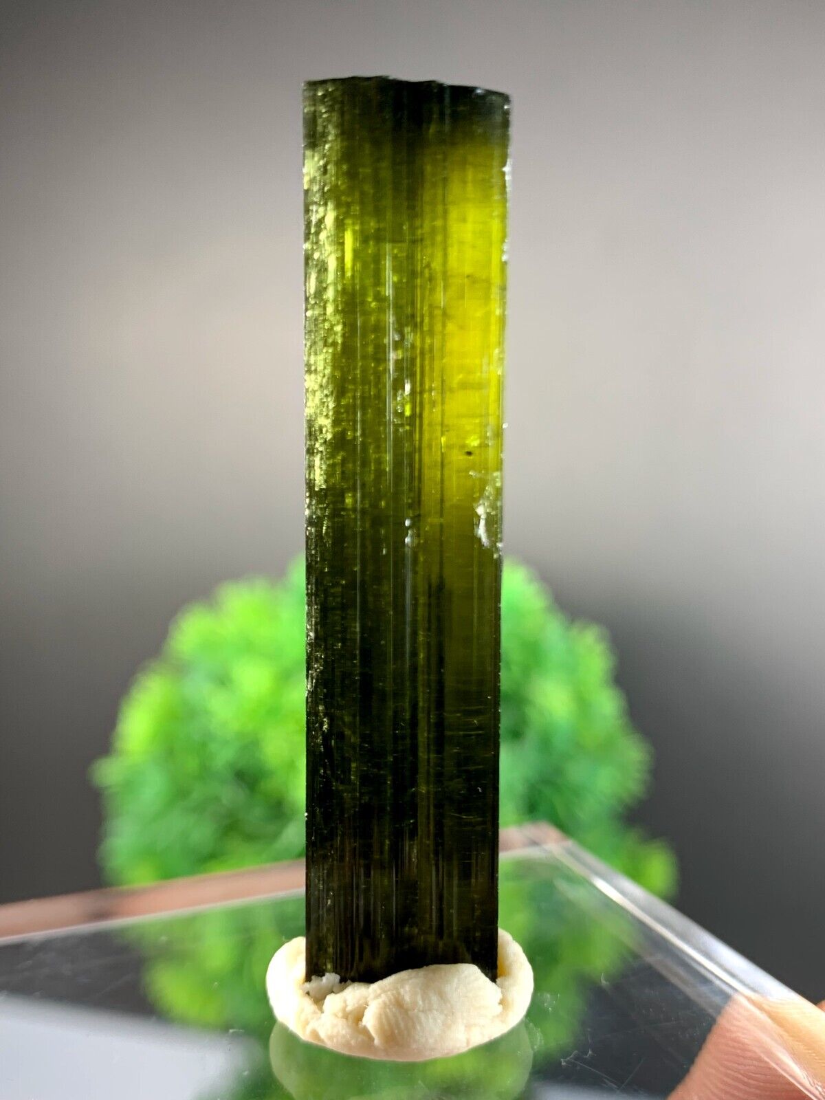 13 Gram Natural Beautiful Green Tourmaline Crystal Specimen From Afghanistan