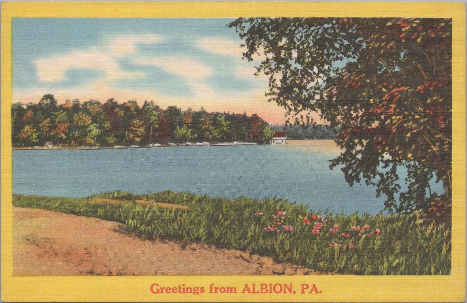 Postcard Greetings from Albion PA 