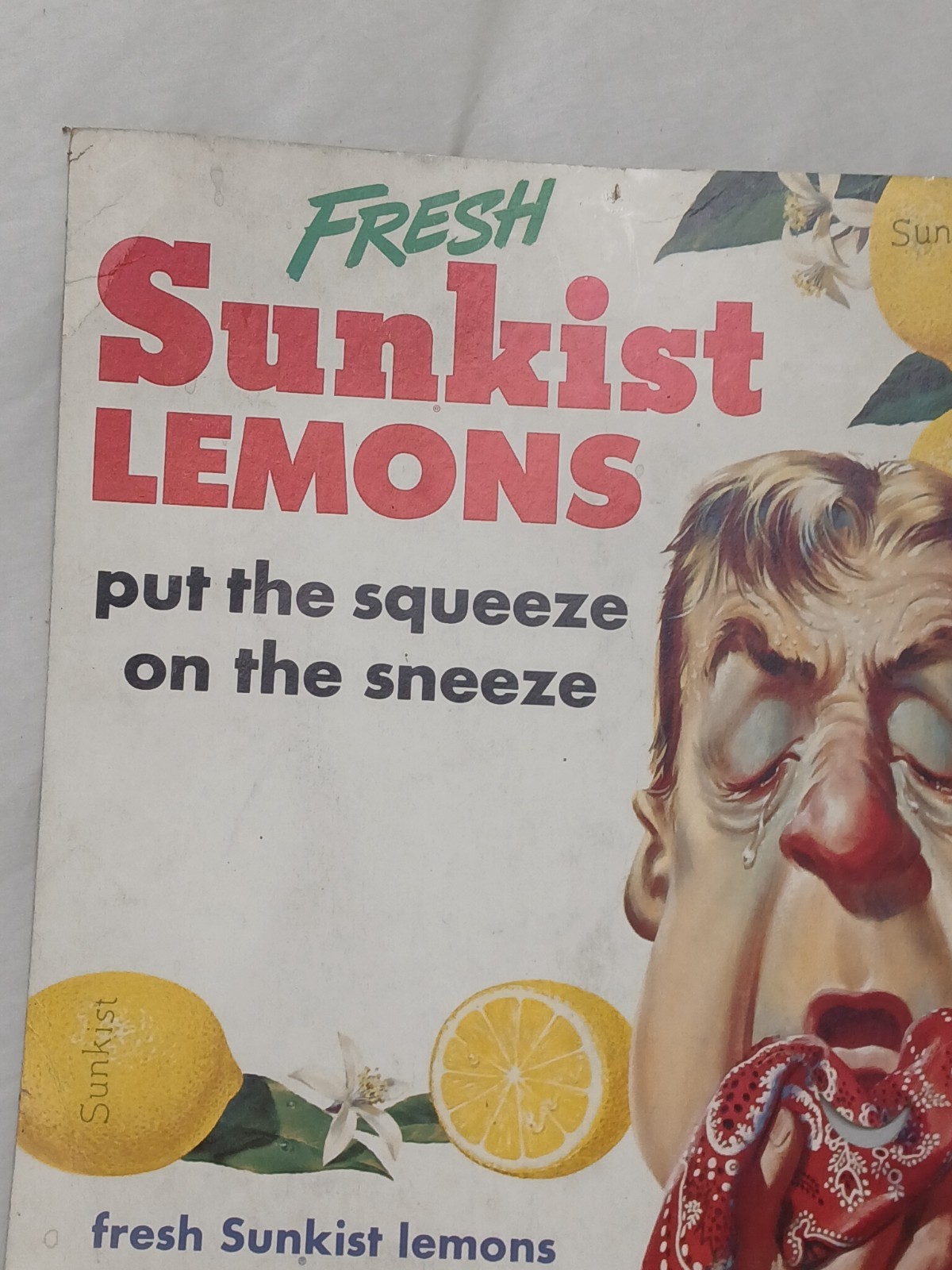 RARE Vintage 1950s Sunkist Lemons Store Display Unusual Sign Strange Litho 16x14
