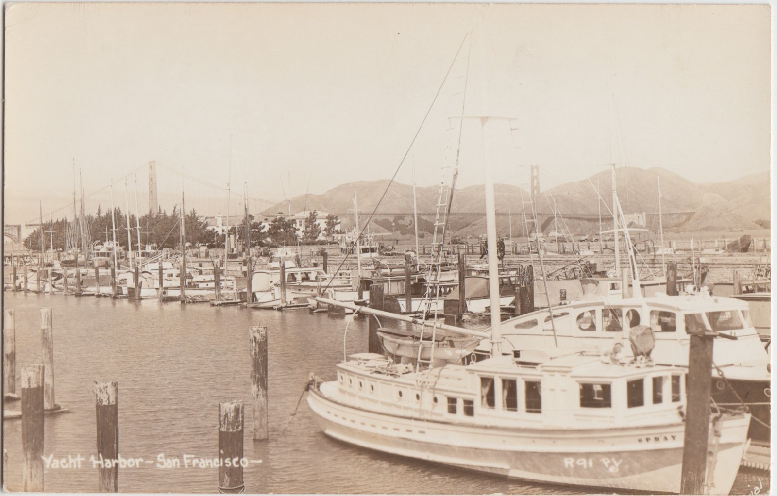 California Ca RPPC Postcard c1940s SAN FRANCISCO Yacht Harbor Boats
