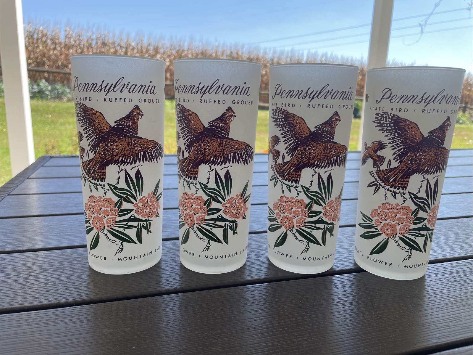 Vintage Pennsylvania State Bird State Flower Frosted Tumbler Set Of 4 Glasses