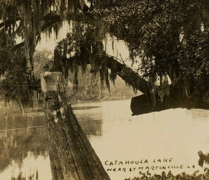 1920s Lake Catahoula RPPC Postcard St Martinville Louisiana Spanish Moss Swamp 