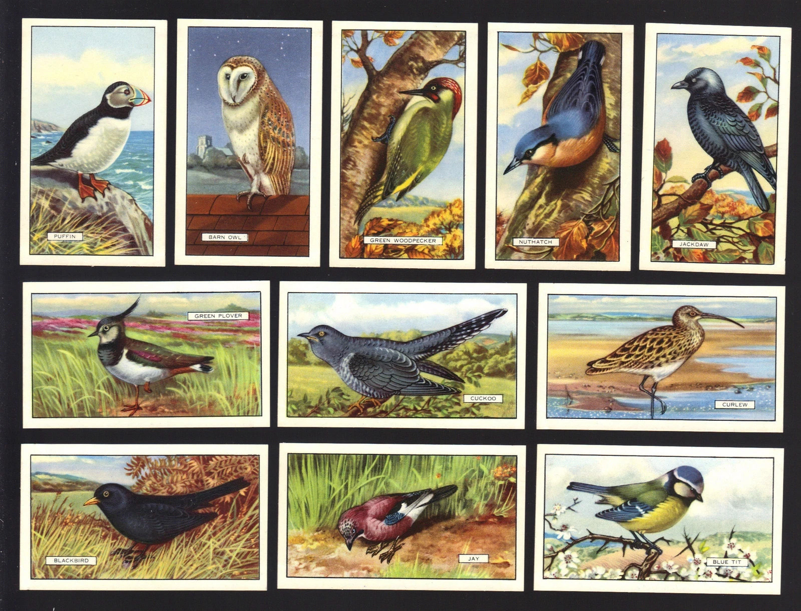 1937 GALLAHER LTD. BRITISH BIRDS 48 DIFFERENT COLLECTOR TOBACCO CARD SET