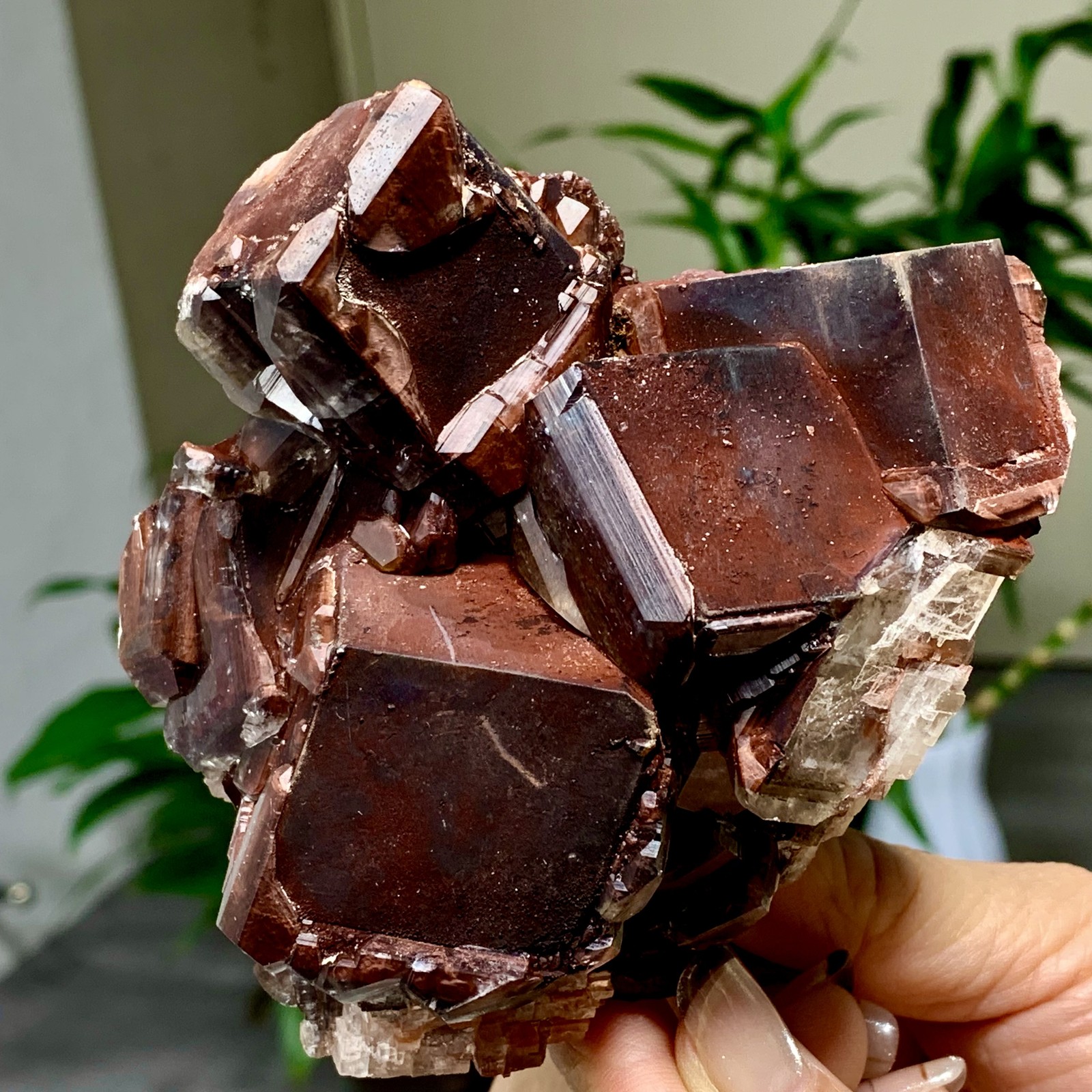 523G Rare Natural Chocolate Calcite Specimen cluster rough mineral sample