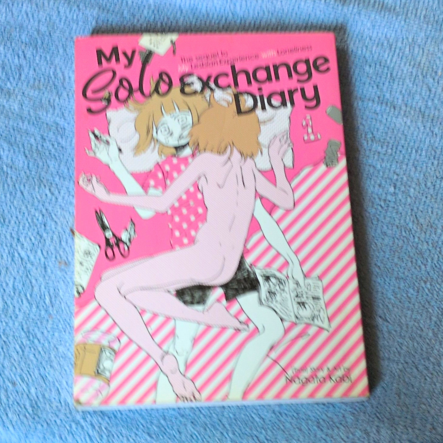 My Solo Exchange Diary 1 My Solo Exchange Diary 1