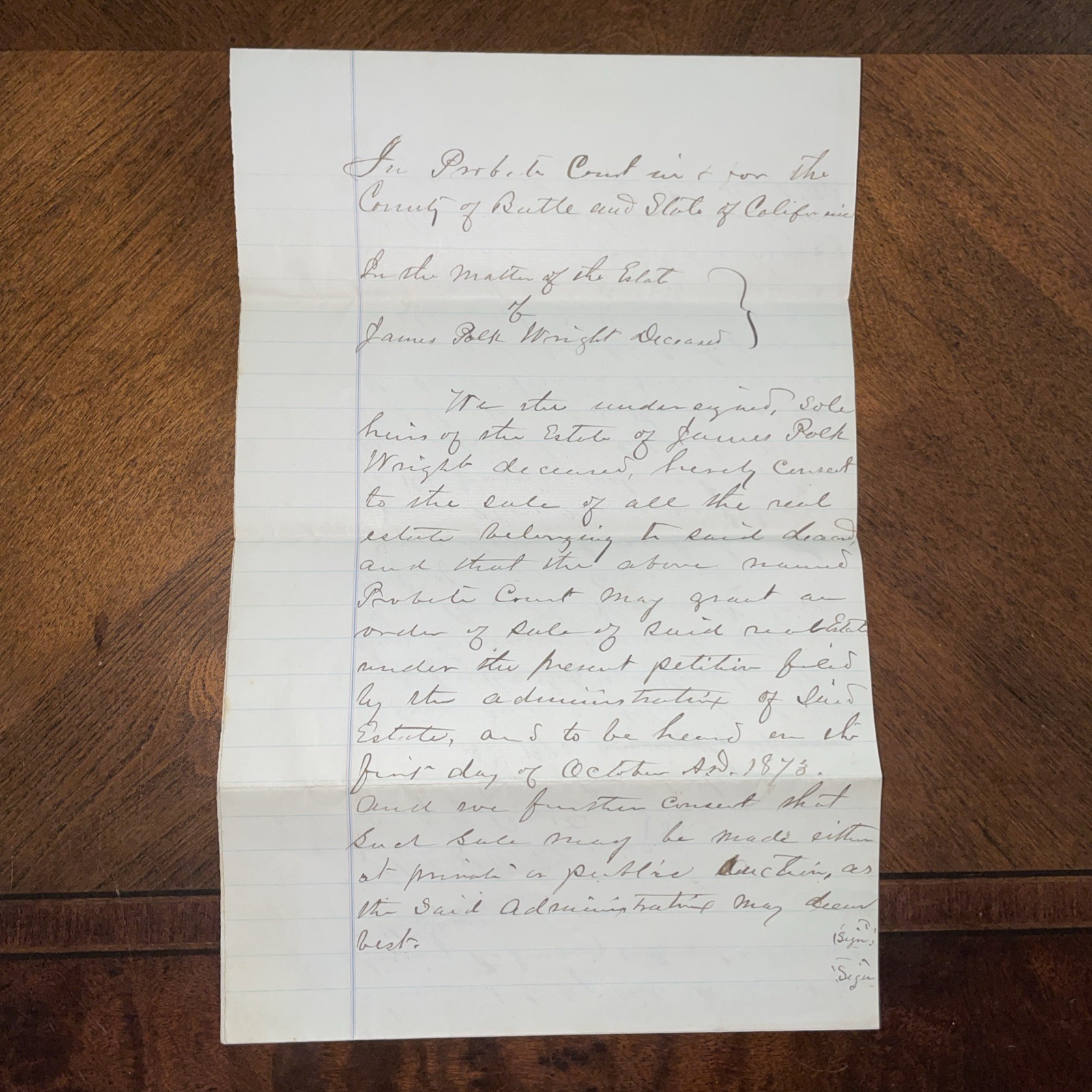1873 Handwritten Probate Court Document James Polk Wright Estate Butte County CA