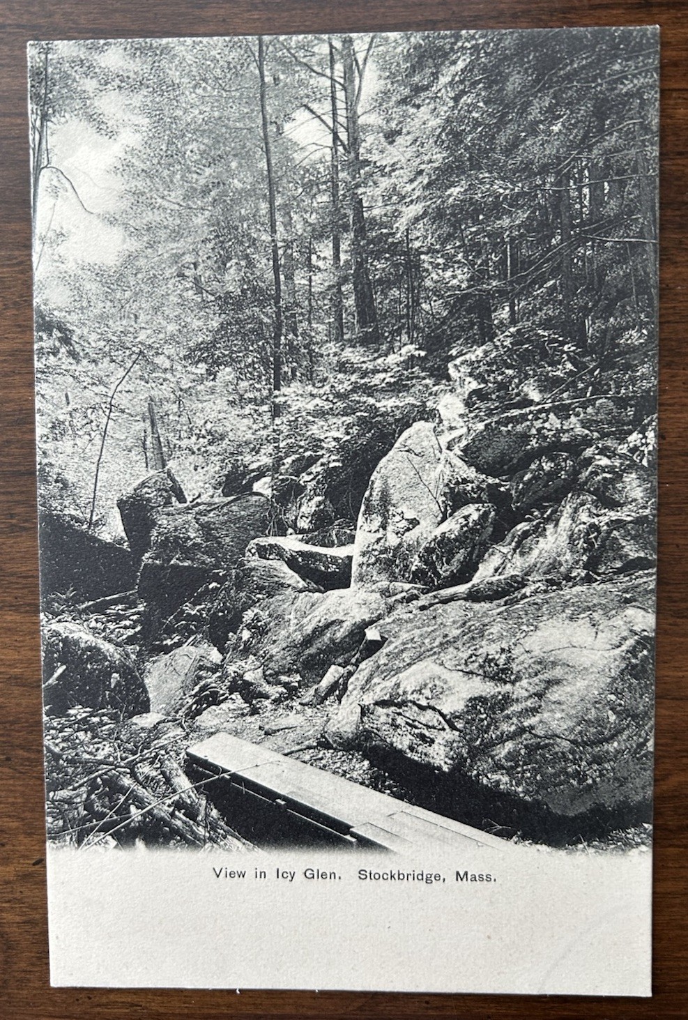 STOCKBRIDGE MA MASS~View in Icy Ice Glen~Single Plank Bridge~Unused UDB Postcard
