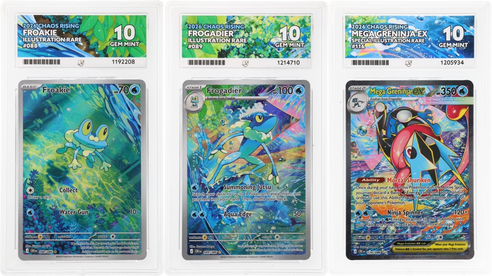 Pokémon TCG Mega Greninja Ex Frogadier Froakie Trio Set ACE 10 s Perfect Subs 👌