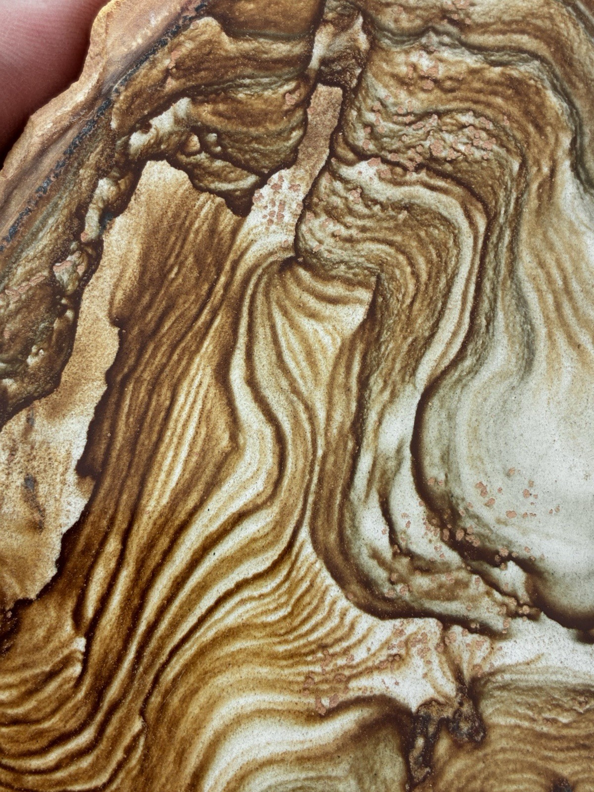 Huge Biggs Jasper XL Coaster Style Specimen Huge Biggs Jasper XL Coaster Style Specimen