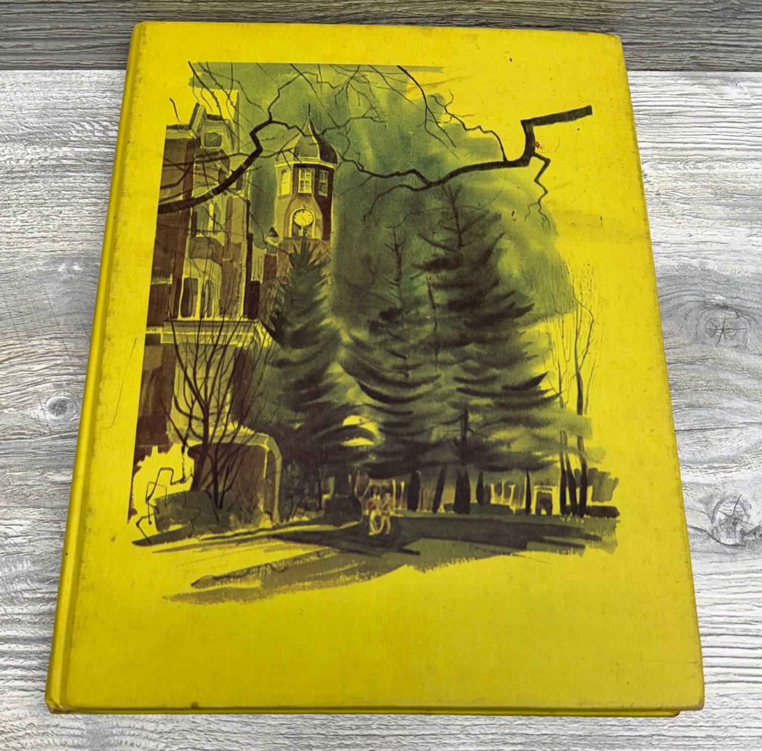 Mississippi University for Women 1974 Meh Lady Yearbook Columbus Mississippi