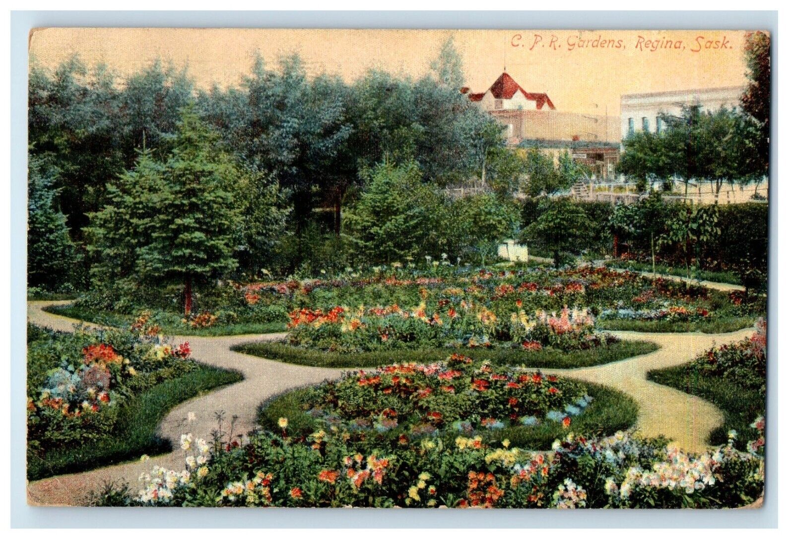1908 C. P. R. Gardens Flowers Regina Saskatchewan Canada Antique Postcard