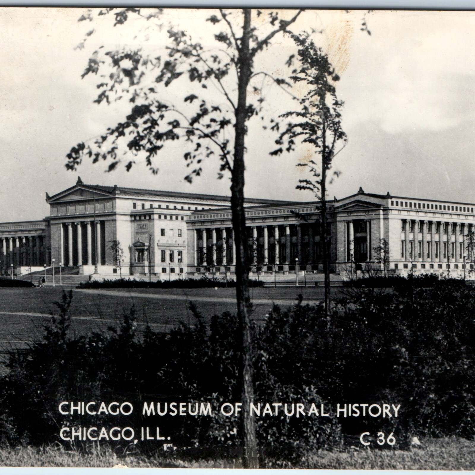c1940s Chicago, IL Museum of Natural History RPPC Postcard Grogan Photo C36