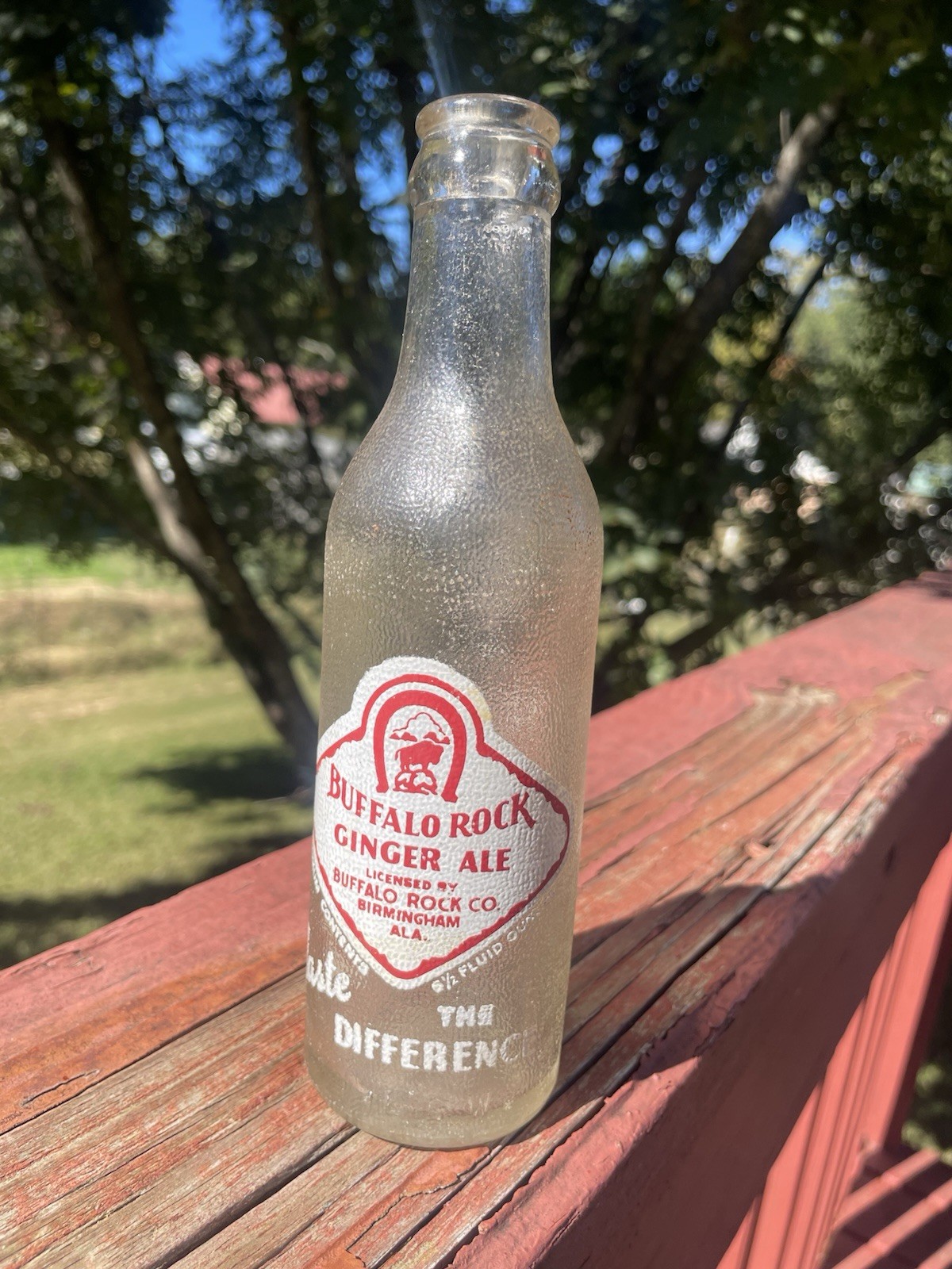 VTG Buffalo Rock Ginger Ale ACL Birmingham Ala.