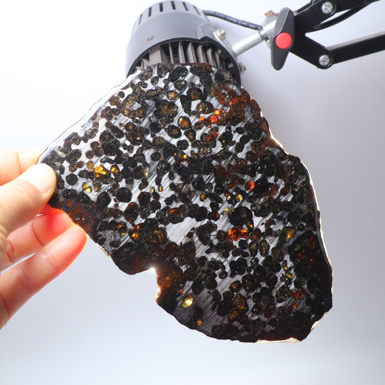 154g Natural meteorite,Slice olive meteorite-from Kenya SERICHO,collection N3699