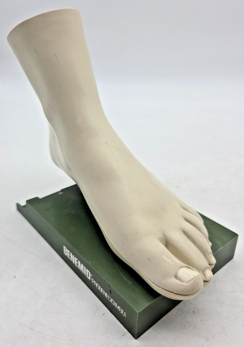 Pharmacy Merck Benemid/Indocin Advertising Foot Anatomical Store Model W/ Bones