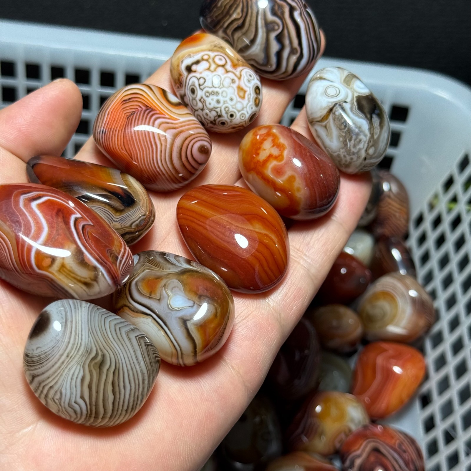 1000g 50pcs Crazy Lace SILK Banded Agate Polished Tumbled Stone Madagascar #03
