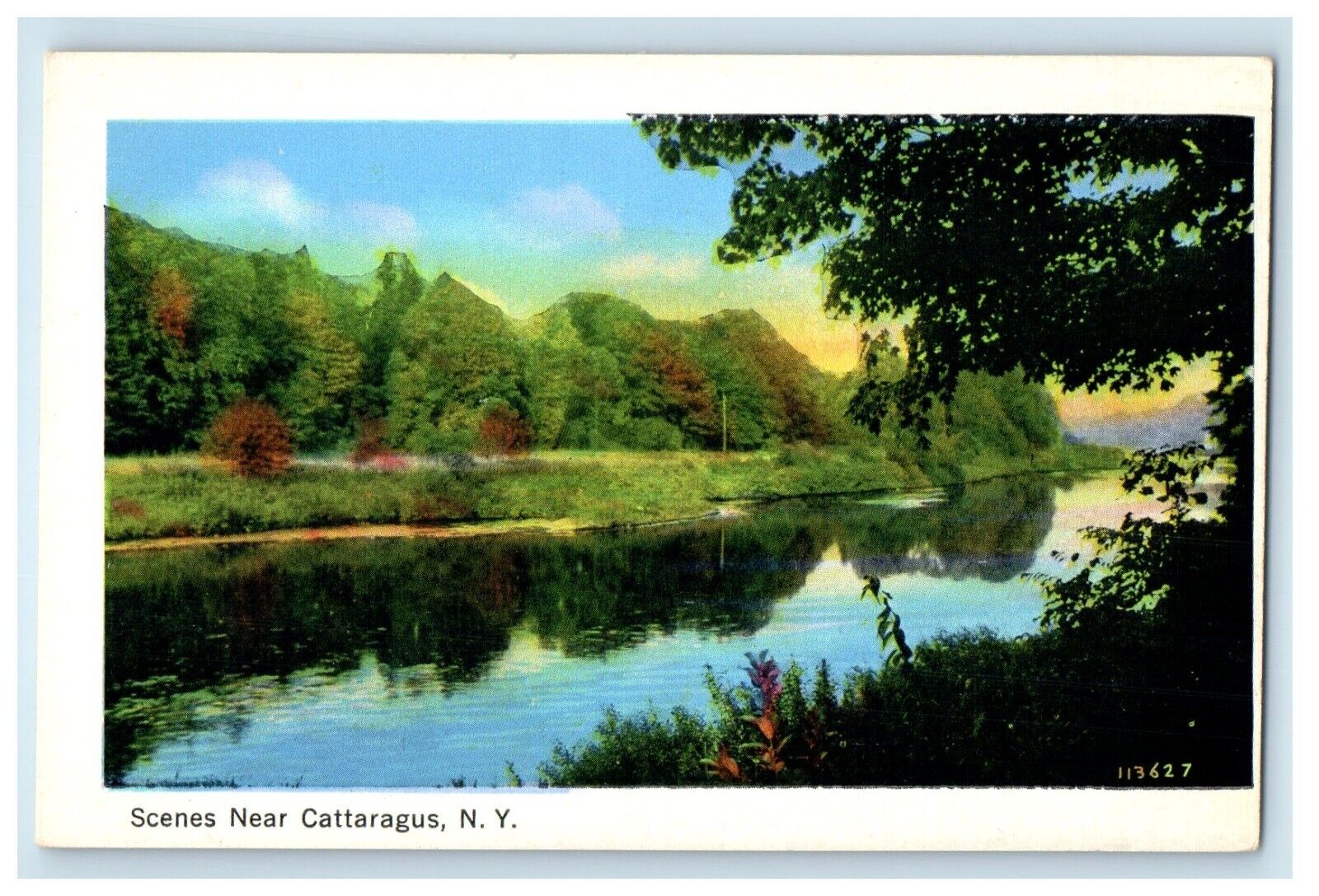 c1930's Scenes Near Cattaragus New York NY, River View Unposted Vintage Postcard