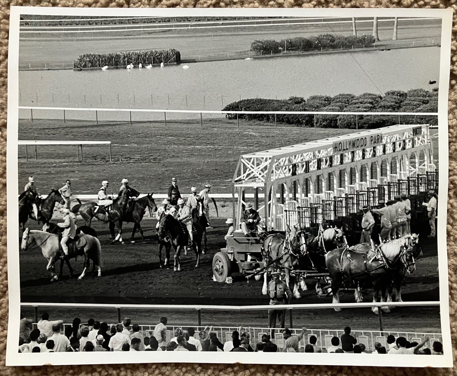 Vtg 1960's Original B&W Photo Hollywood Park Horse Racetrack Inglewood CA 8x10