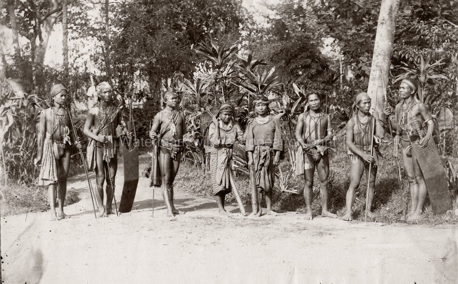 Philippines Warriors Indigenous Tribal Group Spears Shields Vtg. Photo 19thC.