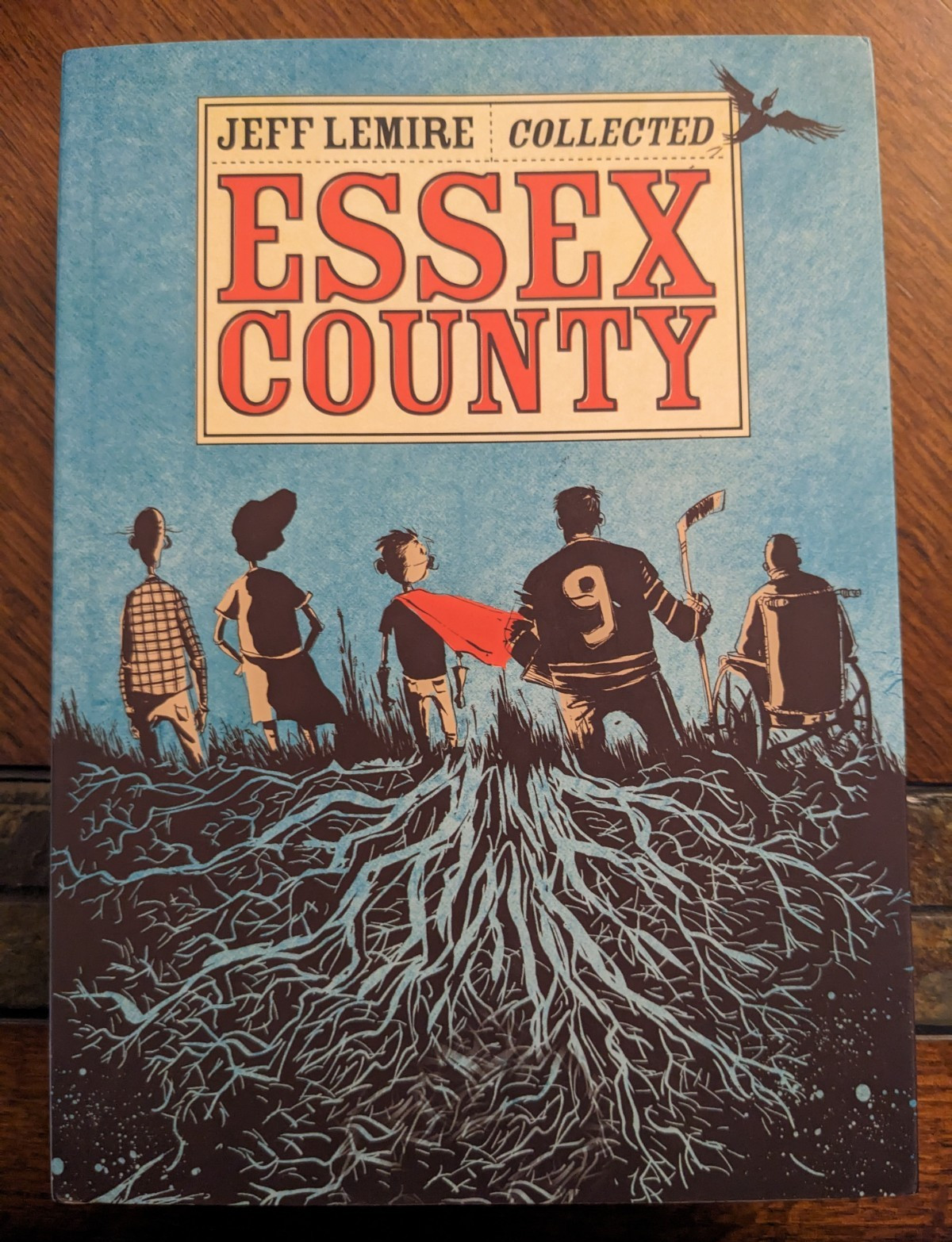 Jeff Lemire The Complete Essex County Graphic Novel TPB 2009 Top Shelf 1st
