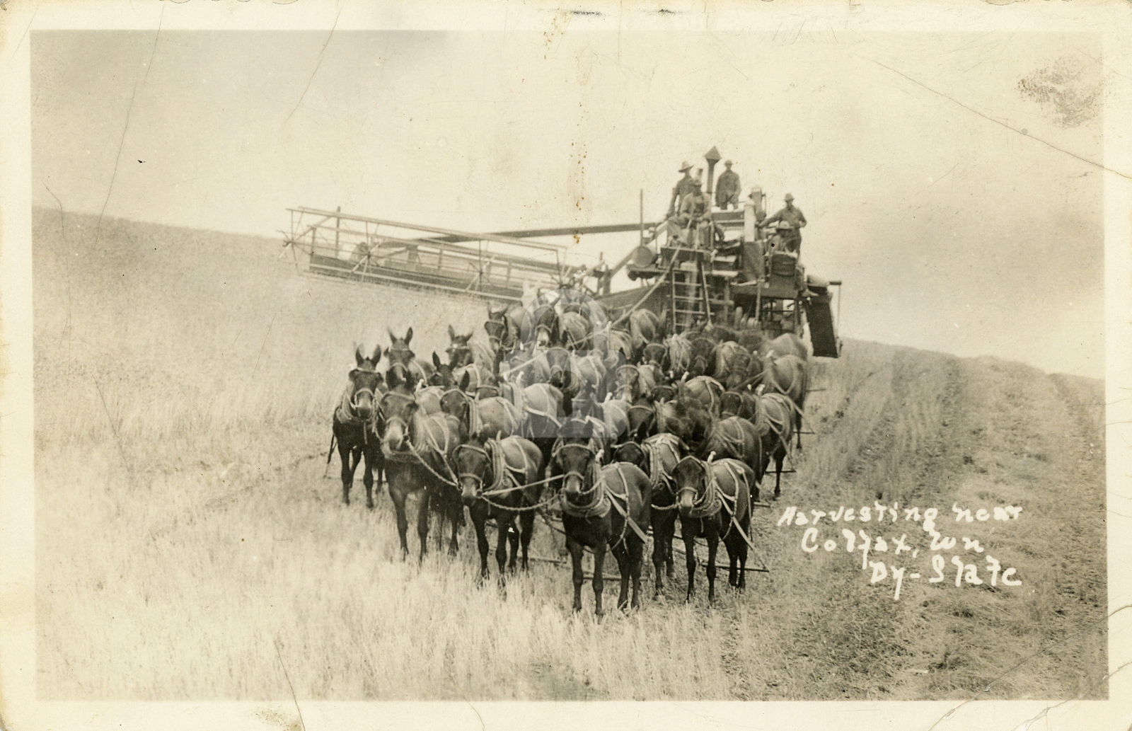Wheat Harvesting c.1920s Colfax WA Washington RPPC Photo Postcard COPY Wheat Harvesting c.1920s Colfax WA Washington RPPC Photo Postcard COPY