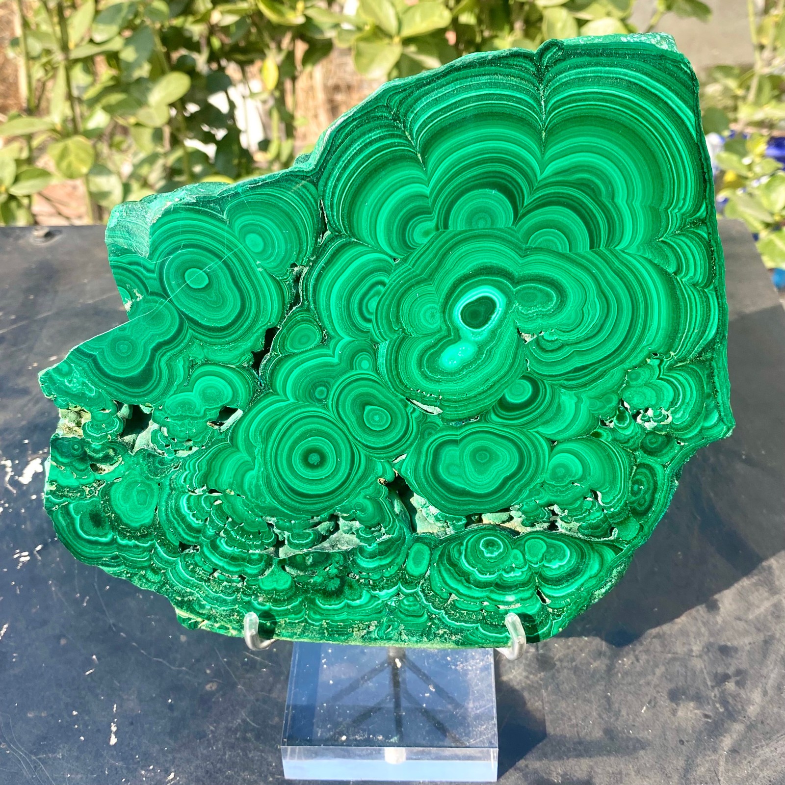 2.39LB Natural malachite slice quartz crystal luster mineral specimen+BASE.