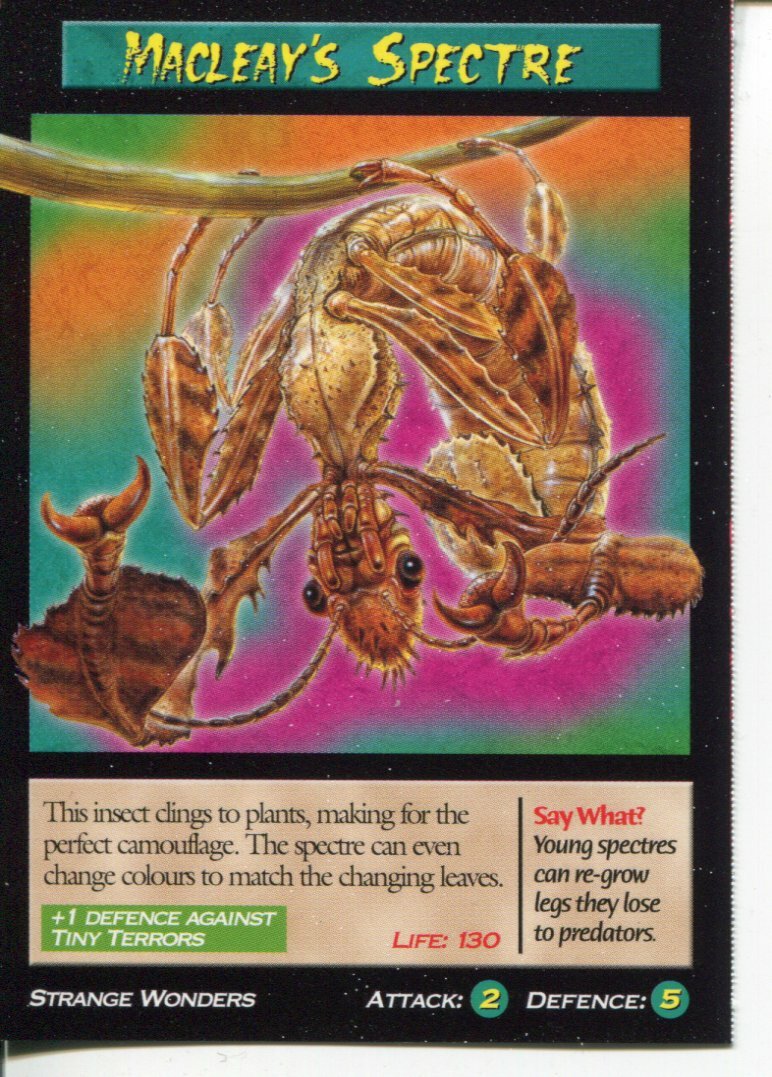 Weird N’ Wild Creatures Strange Wonders Card # Macleay's Spectre # 2006