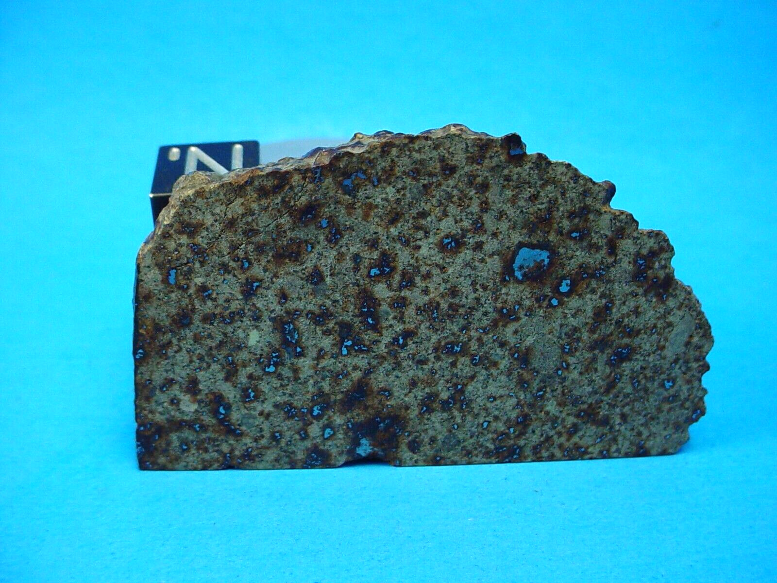 2008, NWA 5371 (Provisional) Meteorite, Northwest Africa 34.8 grams