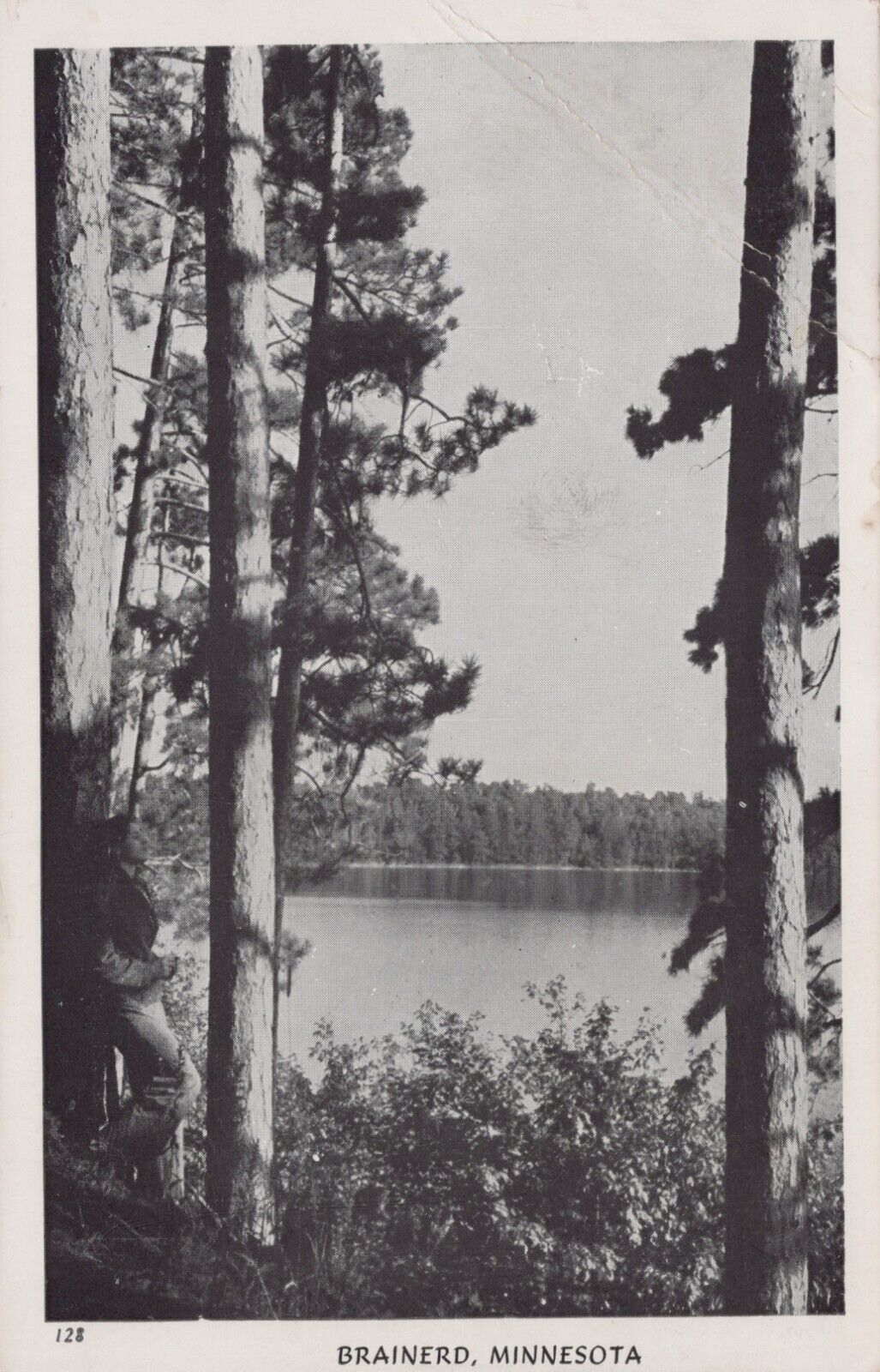 Brainerd Minnesota View of Lake Nature Posted RPPC Real Photo Vintage Postcard