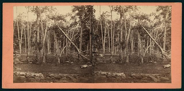 Gettysburg PA 1863 Battle of Culp's Hill Civil War Trees Shell Damage Stereo