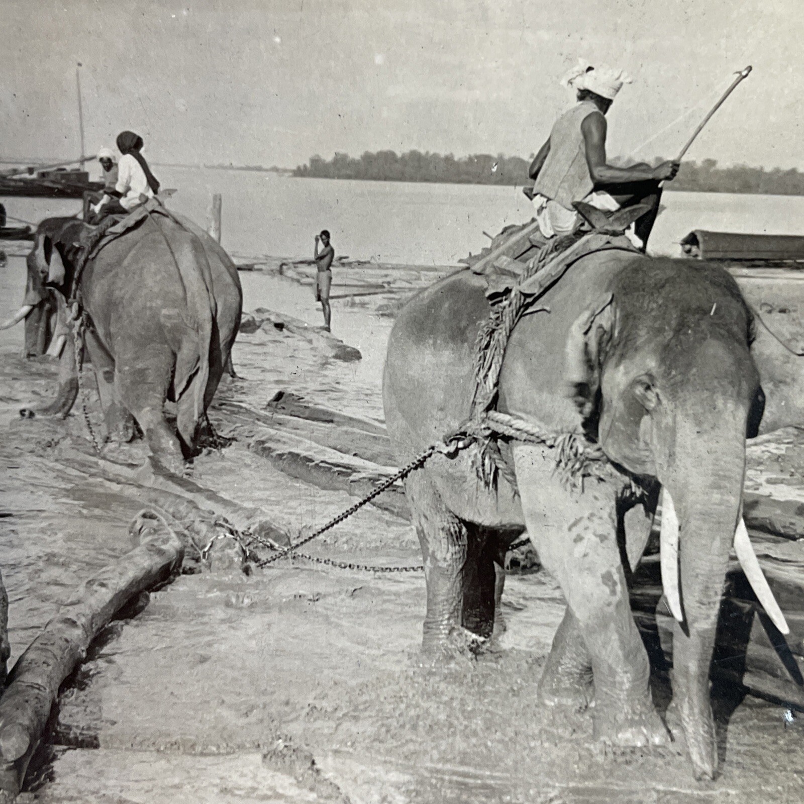 Burma Elephants Hauling Logs Stereoview Keystone View Co. 1919 Salwin River