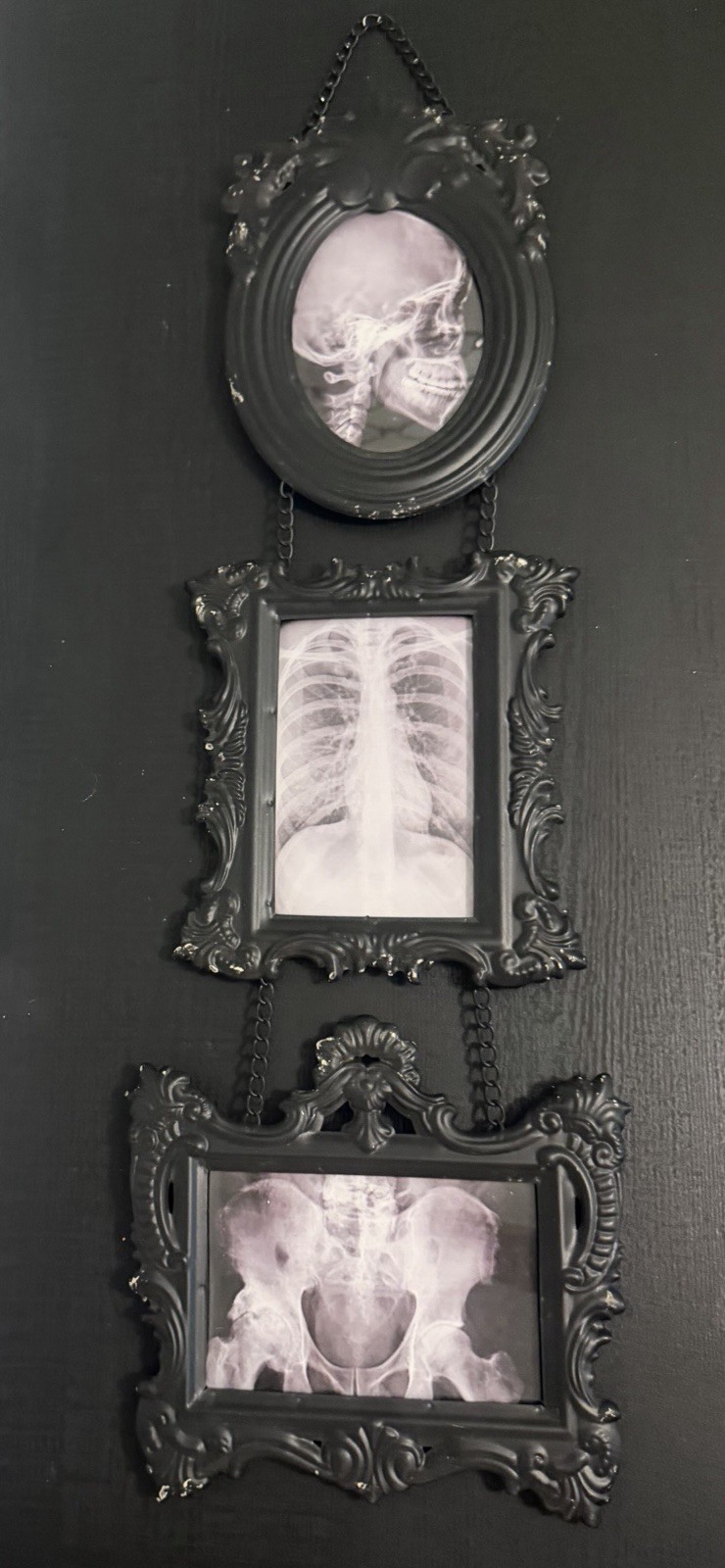 Ashland Halloween Gothic Ornate Metal Triptych Wall Decor Skeleton X-Ray Art 28”