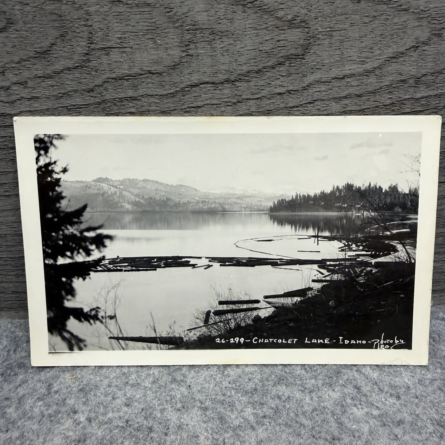 RPPC Chatcolet Lake Idaho Logging Logs Real Photo Postcard R.O. Photo RPPC Chatcolet Lake Idaho Logging Logs Real Photo Postcard R.O. Photo