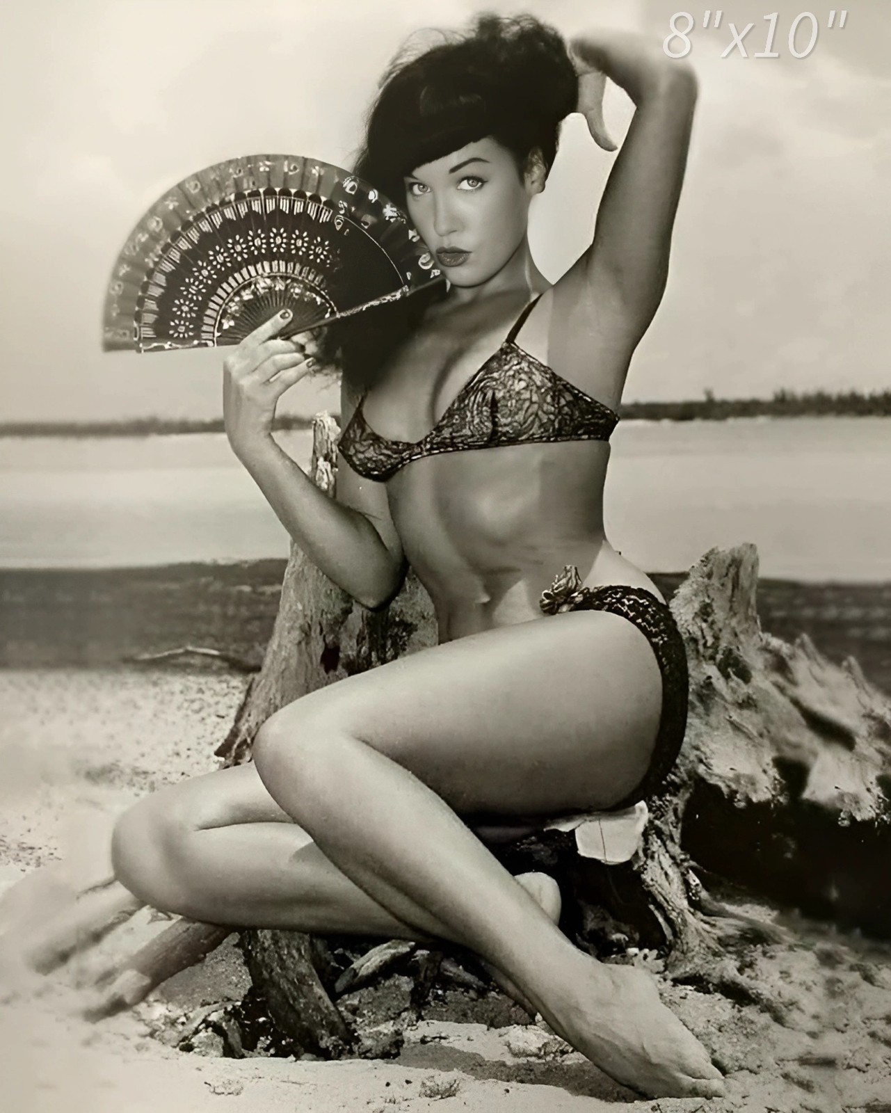 RARE Bettie Page 8x10 Photo 1950s Pin-Up Legend Actress