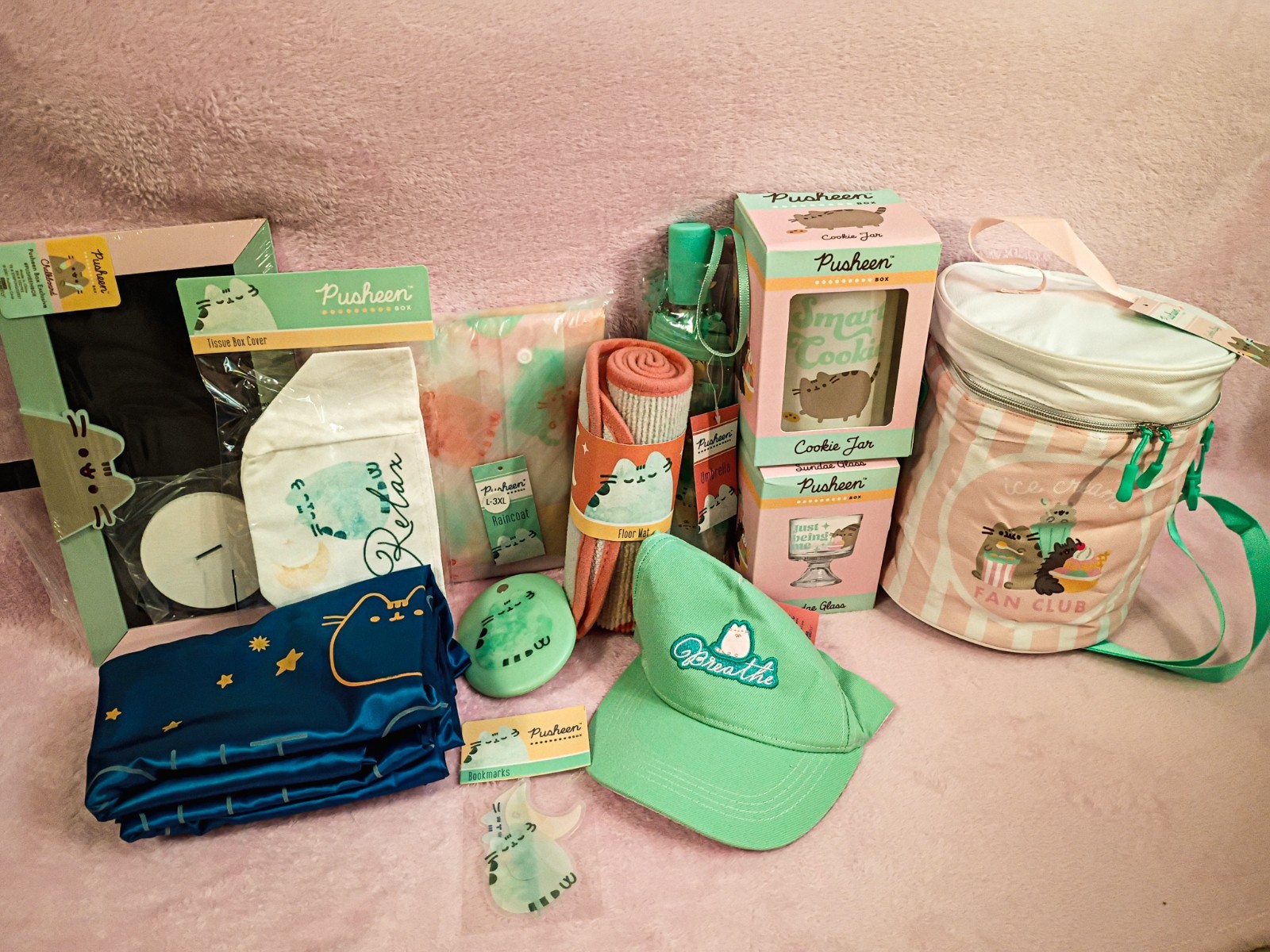 Pusheen Box Lot - Official GUND Pusheenbox exclusive merchandise 2021 Pusheen Box Lot - Official GUND Pusheenbox exclusive merchandise 2021