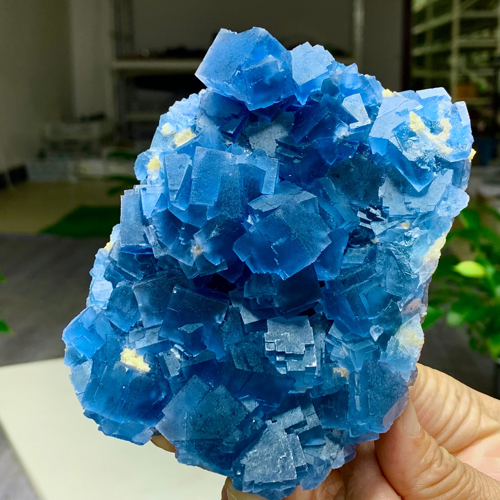 1.76LB Natural Rare transparent purple cubic fluorite mineral crystal /China