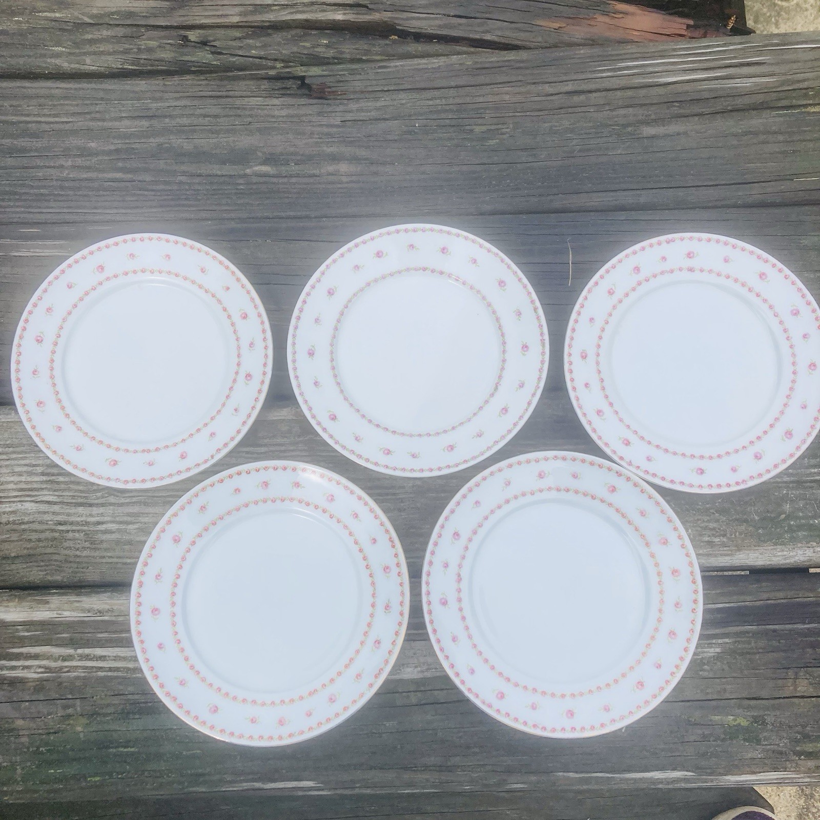 Bone China Salad Plates Rose Floral Gold Detail Victoria Austria 7 1/2” Set of 5