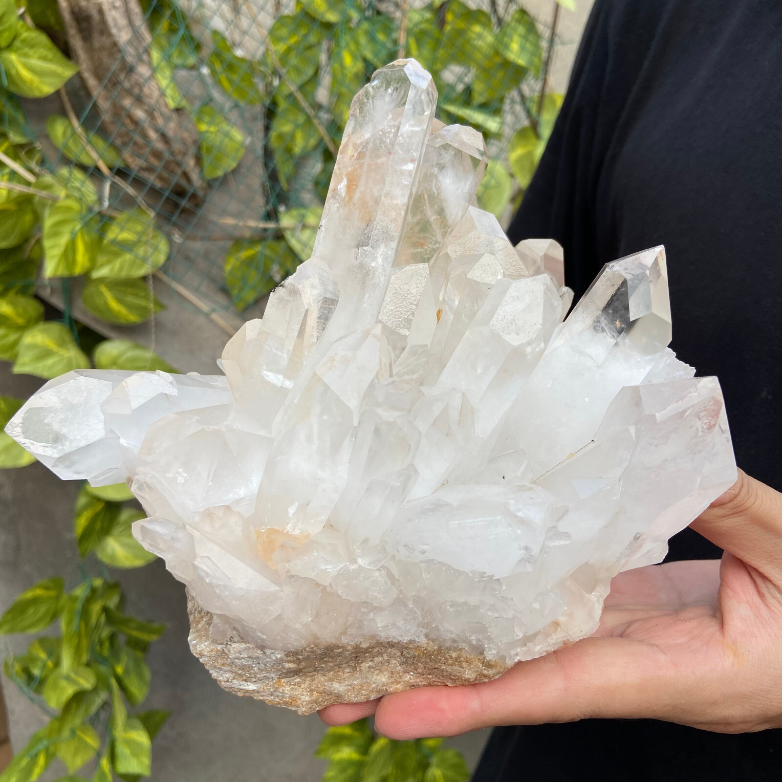 5.3lb A+Large Natural clear white Crystal Himalayan quartz cluster /mineralsls