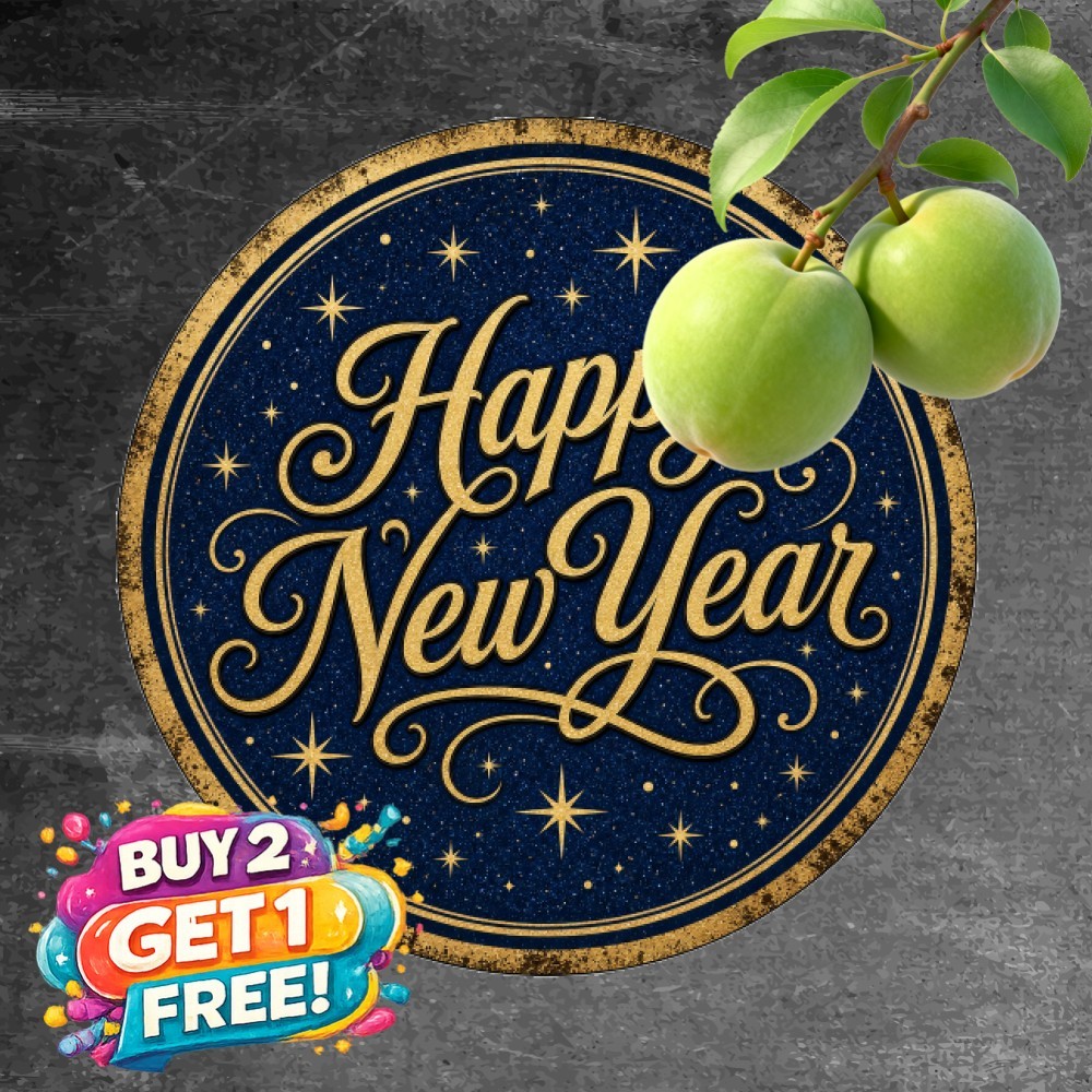 Happy New Year Celebration Tin Sign Round Festive Holiday Party Plaque 8x8