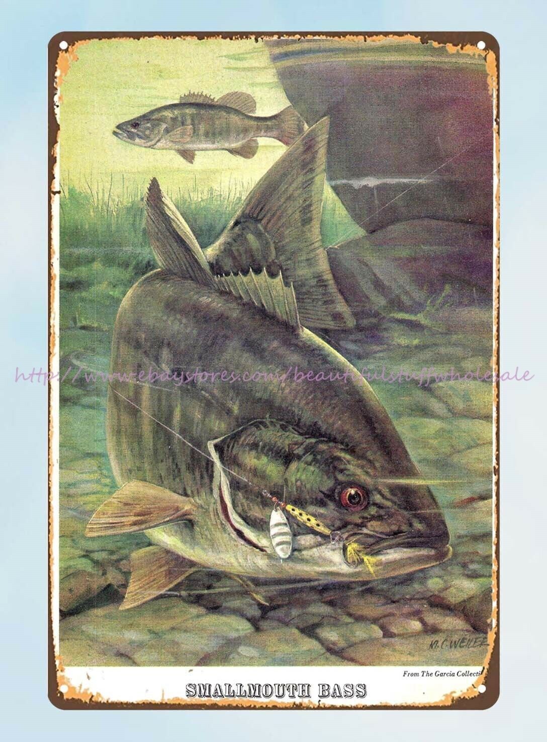 wall artist Garcia Catalog Fish Illustrations smallmouth bass metal tin sign