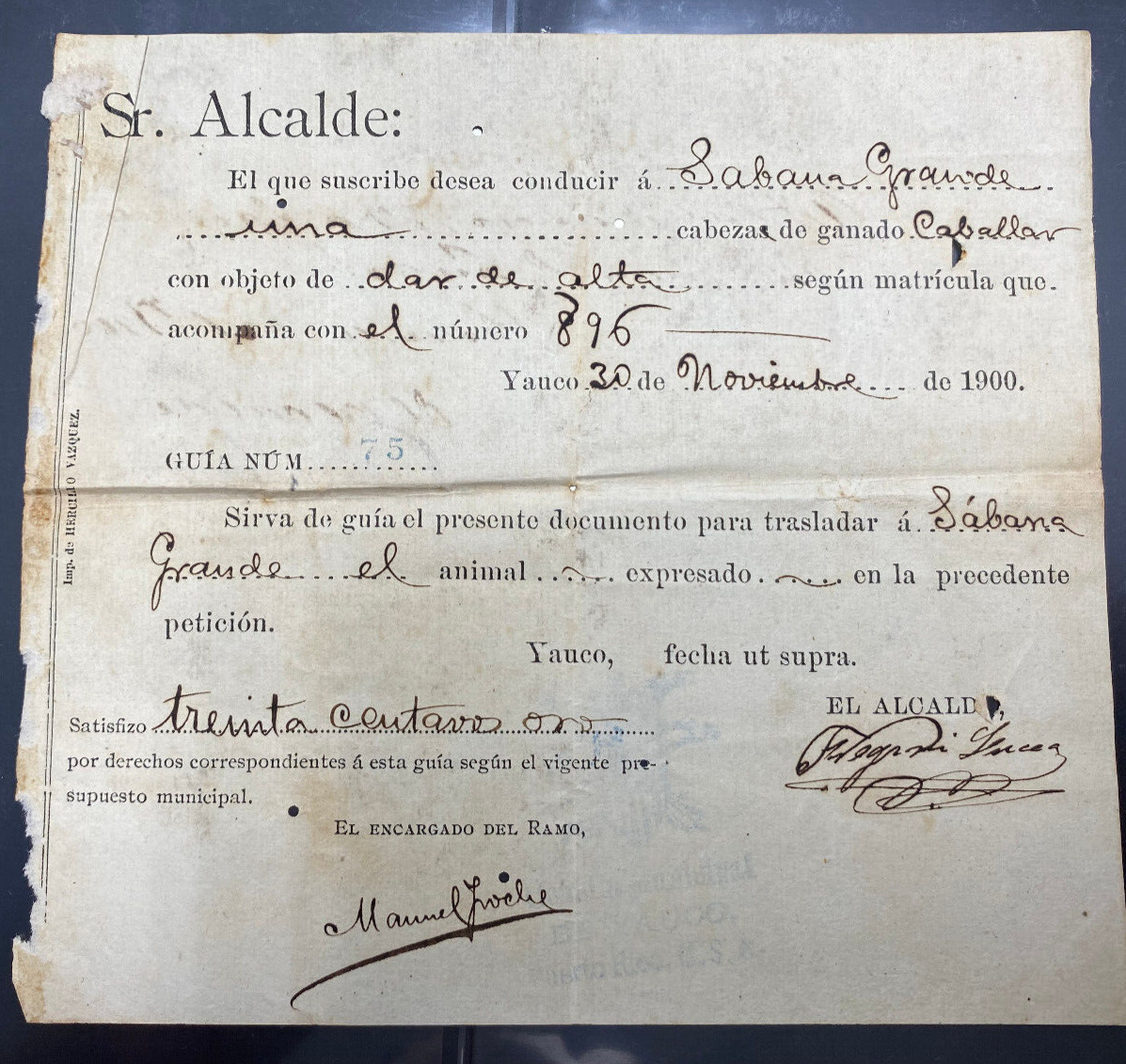 Puerto Rico, 1900, YAUCO, Permiso para conducir Ganado a Sabana Grande, SELLO US