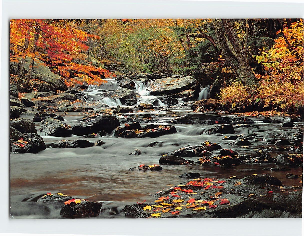 Postcard Sparkling Brook Vermont