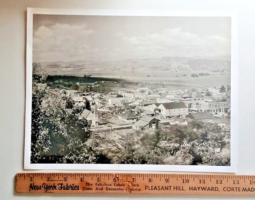 1925 Photo of Morgan Hill, Santa Clara (Silicon) Valley Northern California 12x9