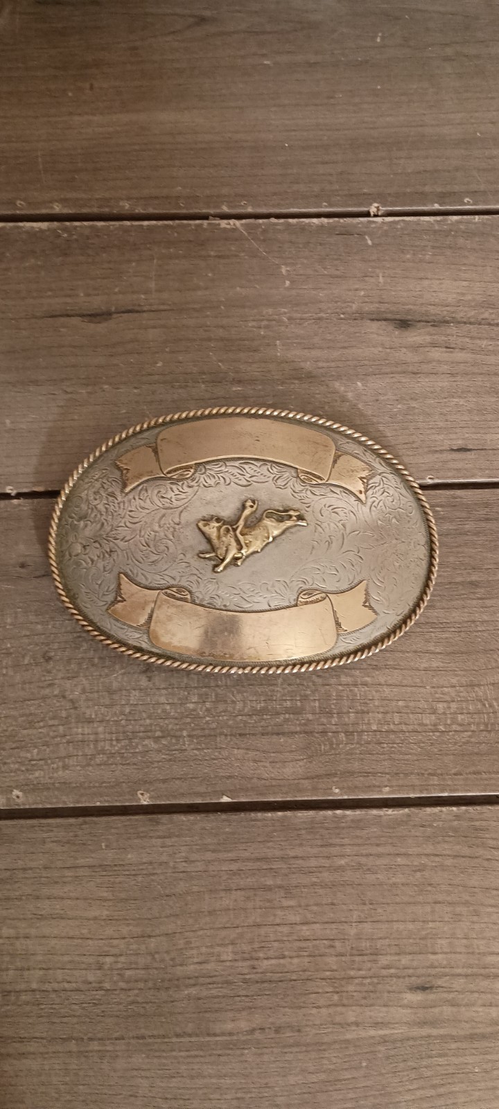 Vintage Western Belt Buckle Bull Rider Etch Work Gold Rope Trim 6\