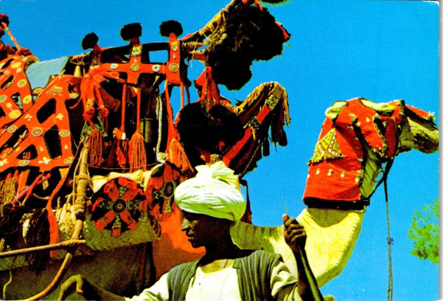 914 Northern Ethiopia Vintage Unposted Postcard