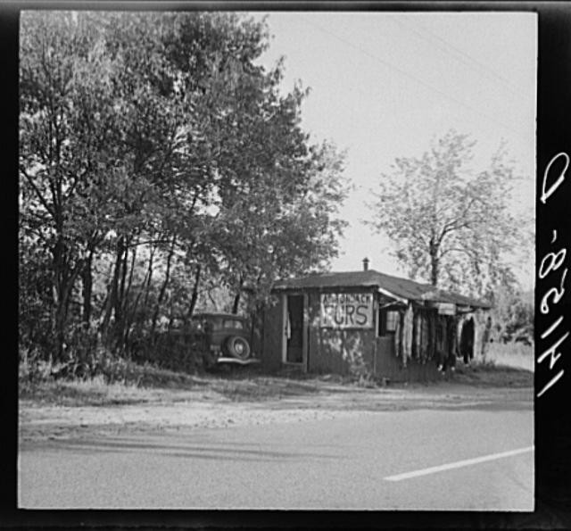 Photo:Long Lake New York 1940 Roadside Fur Stand Woods Truck FSA