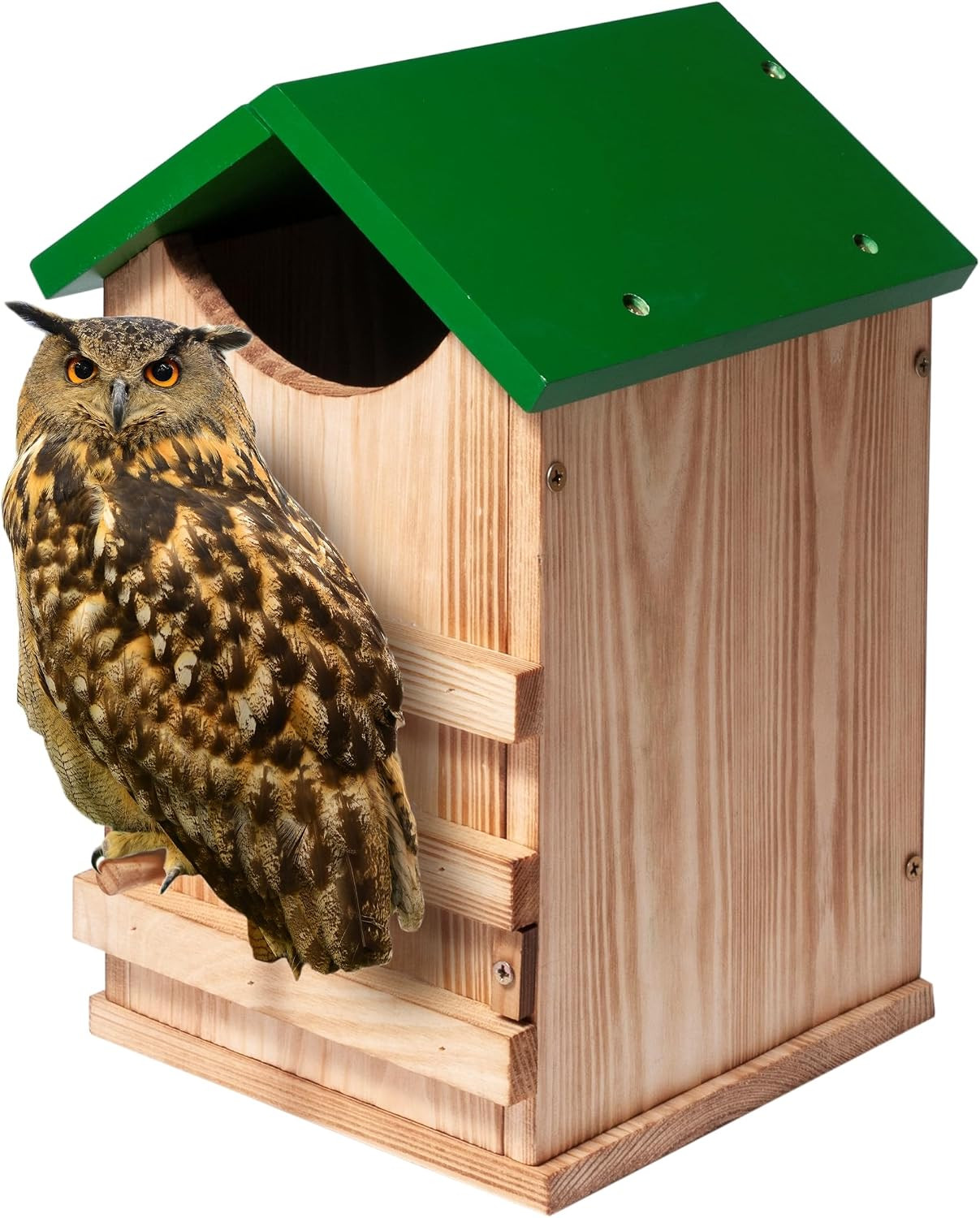 Screech Owl House Owl Box with Bird Stand Design | Nesting Box Wood with Mountin