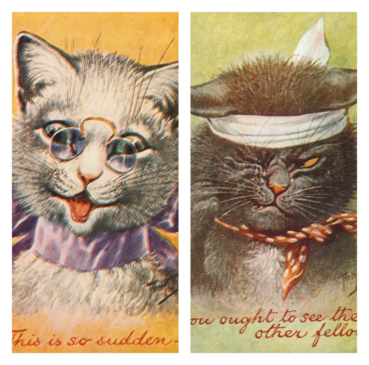 Pair CAT Postcards Antique 1910 Arthur THIELE artist signed Anthropomorphic N